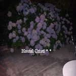hortensias