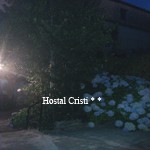 acebo-hortensias